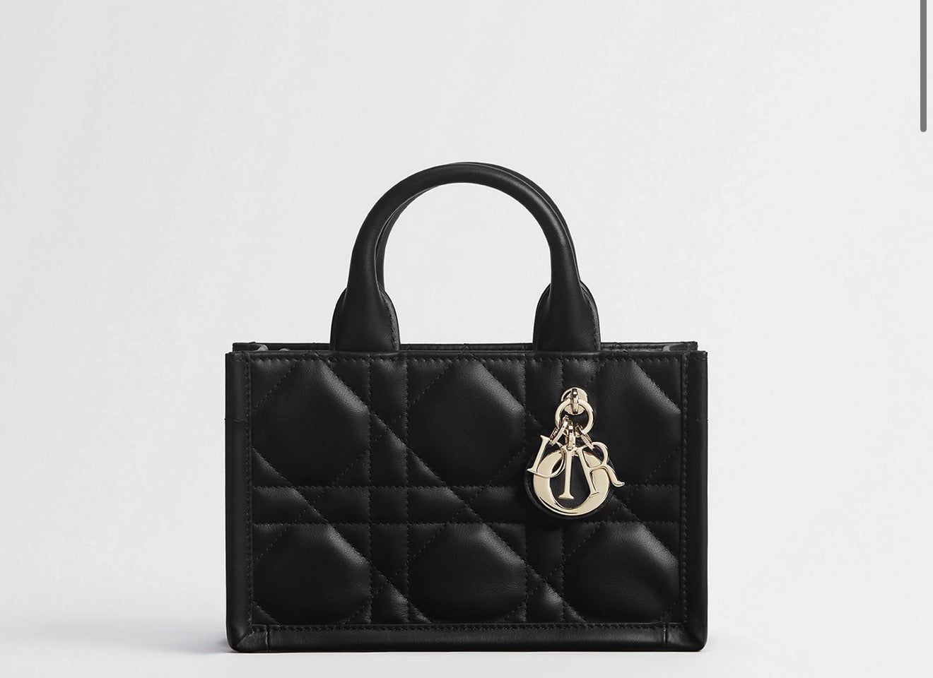Tote D-IOR Book