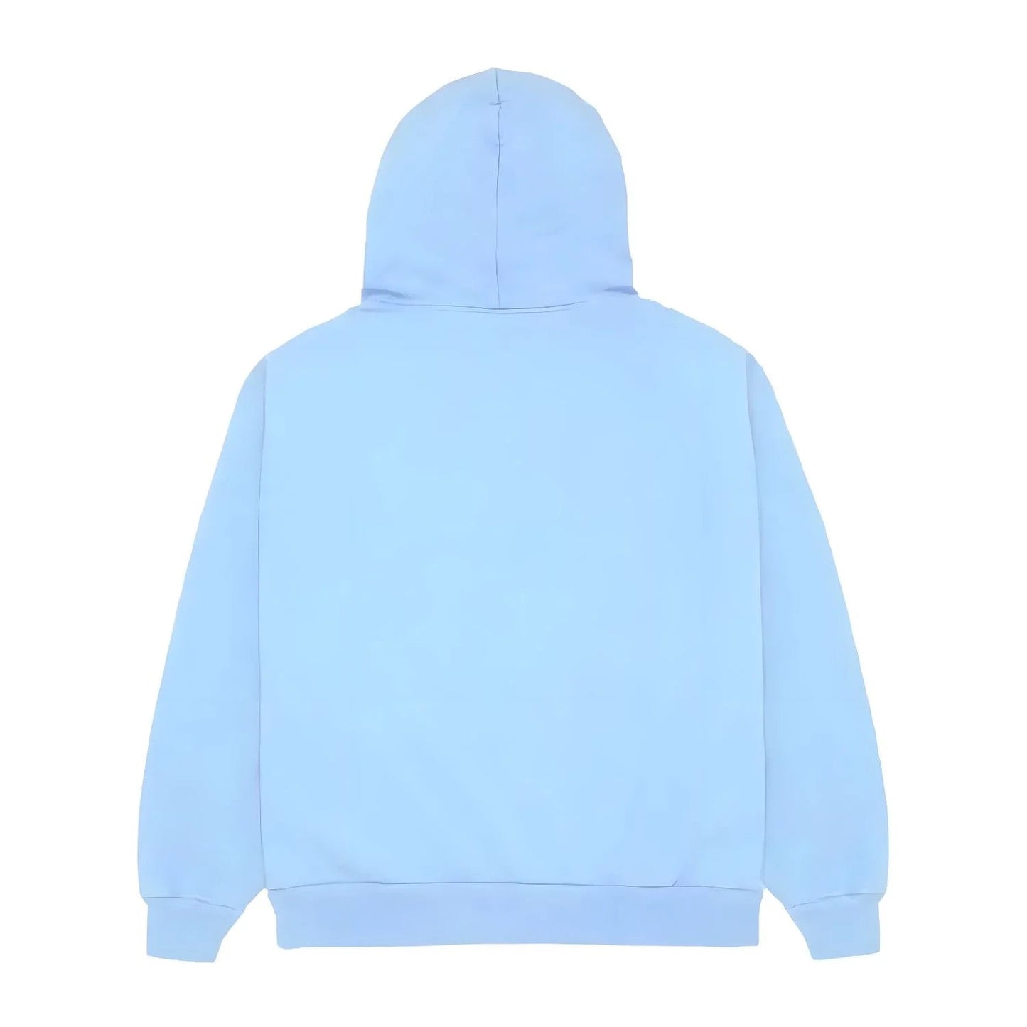 Hoodie Sp5der Babyblue