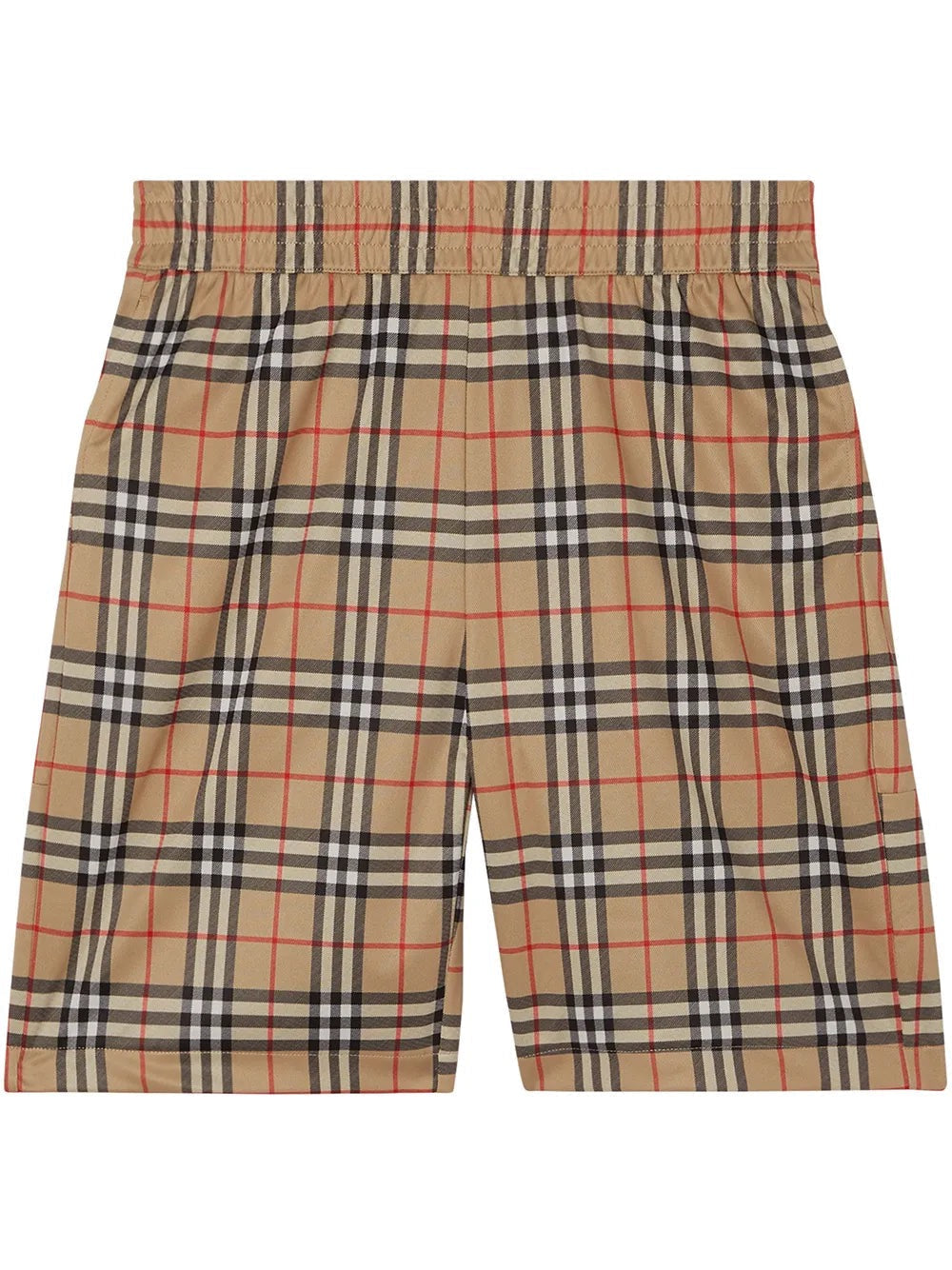 Shorts Berry V3